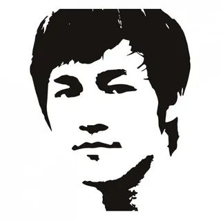 Bruce Lee Icon 2