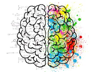 Mind Hemispheres